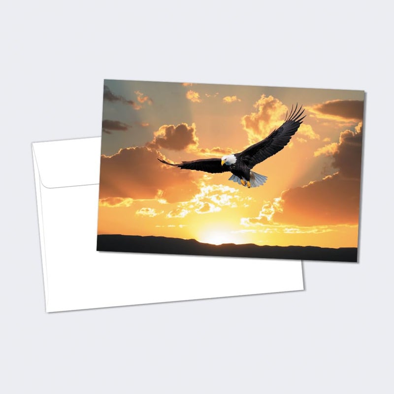 Tree-Free Greetings Soaring Bald Eagle All Occasion Cards - 12 Recycled 4x6 Notecards & White Envelopes, Thick Cardstock, Sustainably Made in USA - Beautiful Bird at Sunset - Image 1